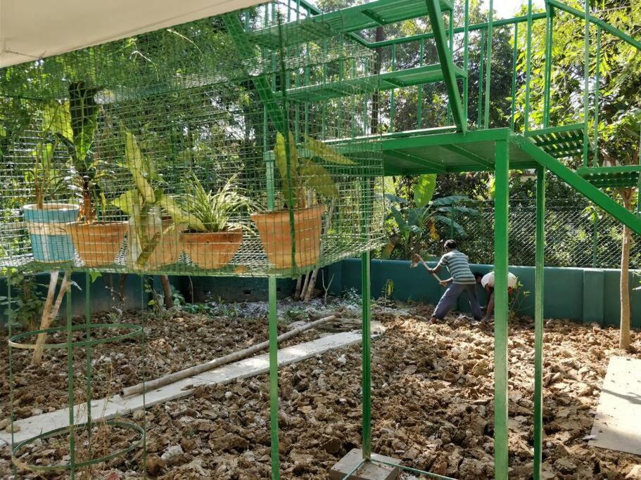 Bhitey Homestay Simantapally / Shantiniketan Luaran gambar